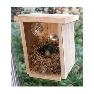 Window Nest Box 