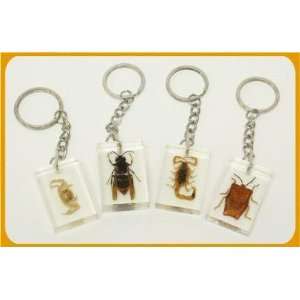  NEW My First Lab Buggin Out Key Chain Quantity (1 