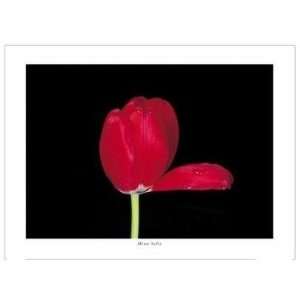  Red Tulip, 2000    Print