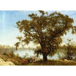  Oil Painting A View from Sacramento Albert Bierstadt 