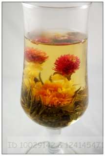 16 Handgefertigter Blooming Tea Teeblume,Flowering Tee  