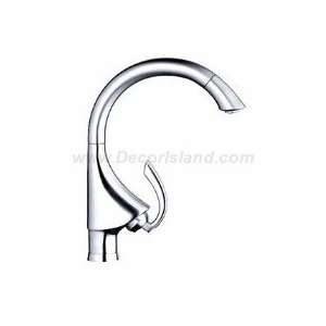 Grohe 32072000 Main Sink Single Spray Pull   Out
