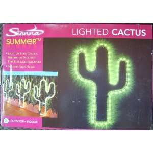  Lighted Cactus Lights 