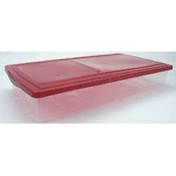Underbed Holiday Storage Box with Hinged Lid set/3   by Iris  