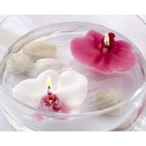 Floating Orchid Candle Pink or White, Set of 4   Pink (Set of 72 