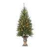   Trees & Decorative Trimmings   Artificial Christmas Trees   $50   $100
