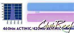 Aquapod 27 Watt Dual Actinic Bulb Sq Pin Current 2027  