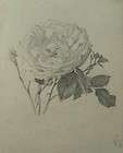 Heinrich Aigner; Rose, feine Zeichnung