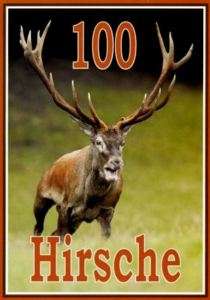 Jagd DVD 100 vielfarbige HIRSCHE Bakony Gebirge Ungarn  