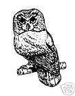 unmounted bird rubber stamp, SAW WHET OWL #9