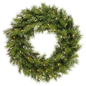  Pine Christmas Wreath Dura Lit 50 Multi color Lights