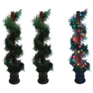   Fern Spiral Tree Multi colored Lights Set of Two