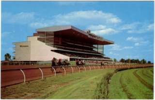 Woodbine Race Track Toronto Horse Racing 1960s Postcard  
