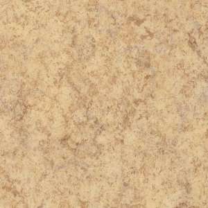  Armstrong Translations Almond Vinyl Flooring