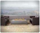 Napoleon GPFL48MHP Liner Patio Flame New Product  