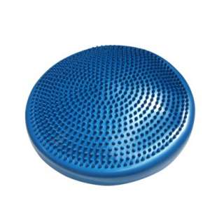 Zenzation PurAir Balance Disc   Blue.Opens in a new window