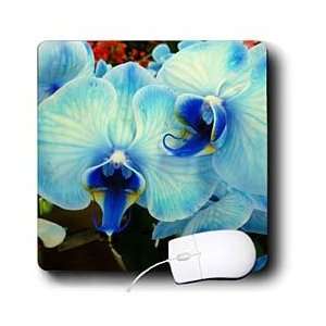  Florene Flowers   Blue Orchids   Mouse Pads Electronics