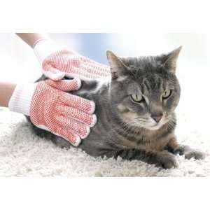  Cat Grooming Gloves