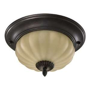  Canterbury II Ceiling Fan Light Kit in Toasted Sienna 