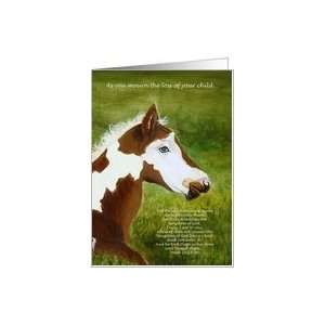  Loss of Child Condolence Sympathy Cards Pinto in Pasture 