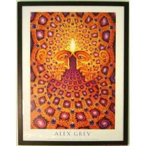  One by Alex Grey Framed Poster Edition 25x19