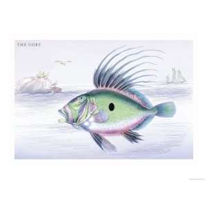   The Dory Giclee Poster Print by Robert Hamilton, 24x18