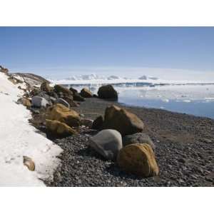  Brown Bluff, Antarctic Peninsula, Antarctica, Polar 