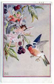 Post Card Rene Cloke Fairies In Fruit Trees  