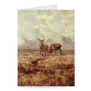 Red Stags, Ben Buie, 1982 by Tim Scott   Greeting Card 