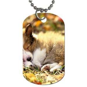  Cute puppy sleeping Dog Tag with 30 chain necklace Great 