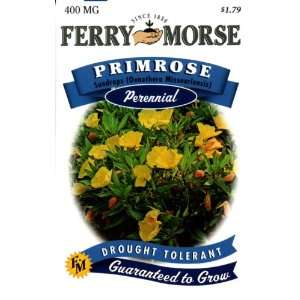  Ferry Morse 1130 Primrose Perennial Flower Seeds, Sundrops 