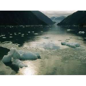  Small Pieces of Ice Floating in Glacier Bay Stretched 