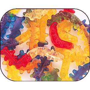 Gummi Gummy Centipedes Candy 1 Pound Bag  Grocery 