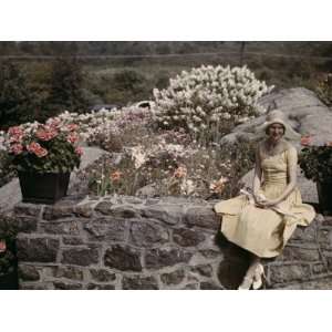 Flower Garden Brightens the Landscape of a Stone Wall Photographic 