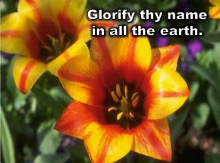 Praise Worship Hymns Chorus Powerpoint Glorify Thy Name  