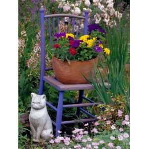 Mixed Flowers and Old Chair, Seattle, Washington, USA Photographic 