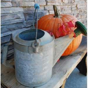   Old Blue Green Paint Watering can bucket farm Patio, Lawn & Garden
