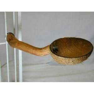  Coconut Cup Large (Catalog Category Bird / Perches bolt 