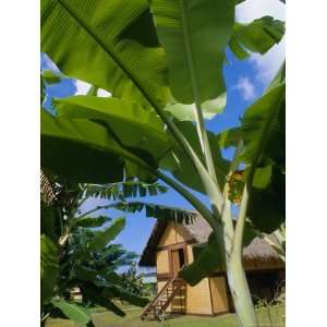  La Maison Du Jouir (House of Pleasure), French Polynesia 