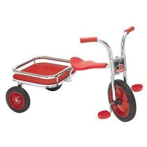  Angeles SilverRider Carry All Trike