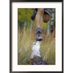 Low Section View of a Person Jumping over a Log of Wood Superstock 